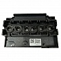   Epson Stylus Photo R290/ RX610 OEM (F180000/ F180010/ F180030/ F180040)
