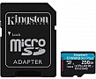   256Gb Kingston microSDXC Canvas Go+ U3 V30 (SDCG3/256GB)