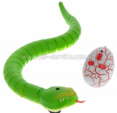   /  Rattle snake ()