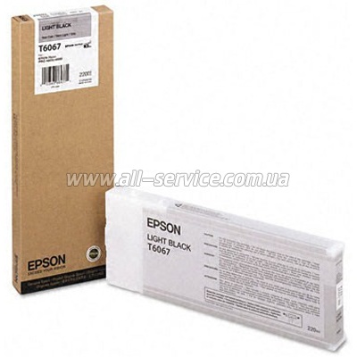  Epson StPro 4800/ 4880 light black, 220 (C13T606700)