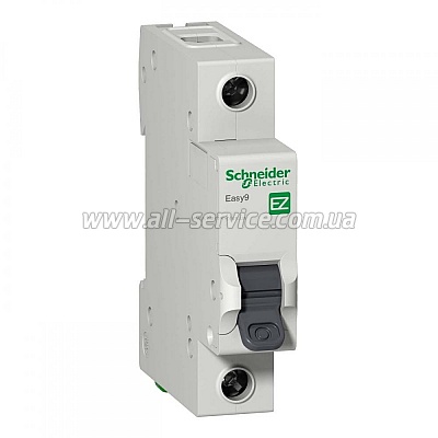   Schneider Electric 1  16    EZ9 (EZ9F14116)
