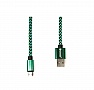  PowerPlant USB 2.0 AM - Micro B, 1 green (CA910229)