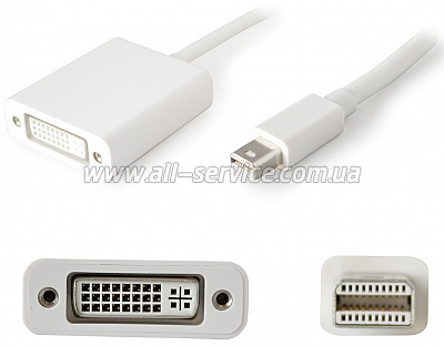  Apple A1305 Mini DisplayPort to DVI Adapter (MB570Z/B)