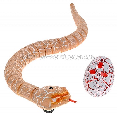   /  Rattle snake ()