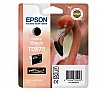  Epson StPhoto R1900 matte black (C13T08784010)