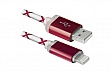  DEFENDER ACH03-03LT USB(AM)-Lightning RedLED backlight 1m (87552)