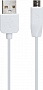 ���� ������ USB 2.0 AM to Micro 5P 1.0m 2.4A PVC X1 white HOCO (6957531032038)
