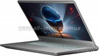  Thunderobot 911 X17 (911X17-i7136H56C1Q165MBD)