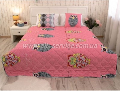    Owl 200220 (322.137_Owl)