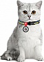    WAUDOG Colors of freedom  QR  XS 20-30  (5210-4020)