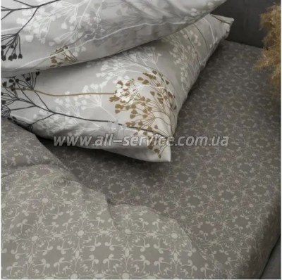   Viluta 24265   (24265_pl)