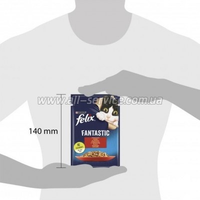     Purina Felix Fantastic     85  (7613039838624)