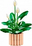 ����������� LEGO Botanicals ���������� (11504)