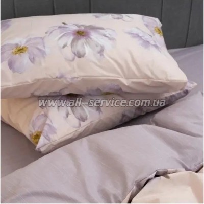   Viluta 24275   (24275_pl)