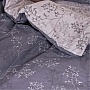   Viluta 22222   (22222_pl)