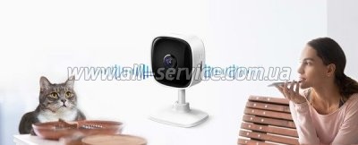   TP-Link Tapo C100 (TAPO-C100)