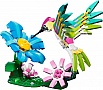 ����������� LEGO Creator ��� �������: ��������� ����� (31384)