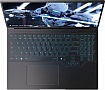  Thunderobot RS16 (RS16-i9139HX57TC1Q240ARB1)