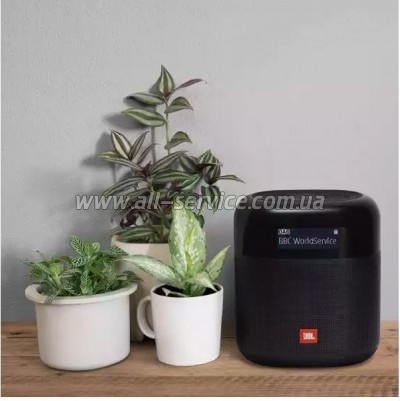   JBL Tuner XL Black (JBLTUNERXLBLKEU)