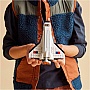 ����������� LEGO Creator ����������� ����� 144 ������� (31134)