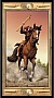 ����� ���� Scarabeo ���� ������������� ���� (The Pictorial Key Tarot) (EX146UK)