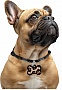    WAUDOG Smart ID  QR  