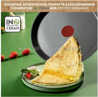 ��������� ������� Tefal Renewal 25�� (C4283873)