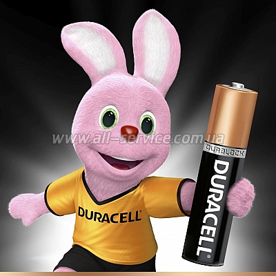  Duracell AAA MN2400 LR03 * 2 (5000394058170 / 81484984)