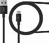 ���� ������ USB 2.0 AM to Type-C 1.2m black Piko (1283126489174)