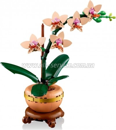 ����������� LEGO Botanicals ̳�� ������� (10343)
