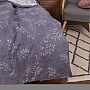   Viluta 22222   (22222_pl)