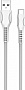 ���� ������ USB 2.0 AM to USB-C 1.0m line-drawing white ColorWay (CW-CBUC029-WH)
