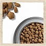     Purina Dog Chow  ,       2.5 (7613034488268)