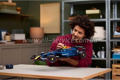 ����������� LEGO Technic ��������� F1 Oracle Red Bull Racing RB20 (42206)