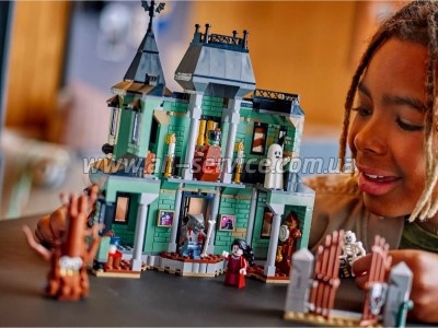 ����������� LEGO Creator ������� � ������������ (31167)