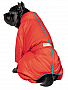  Pet Fashion Cold M  (4823082426119)