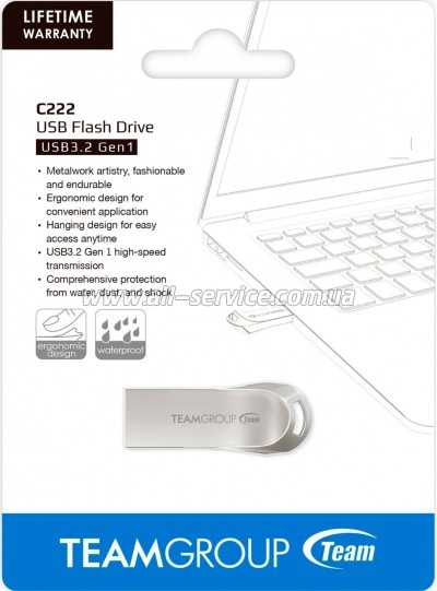  Team 32GB C222 Silver USB 3.2 (TC222332GS01)