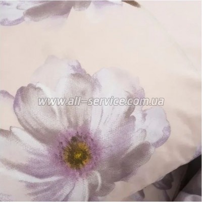   Viluta 24275   (24275_sm)