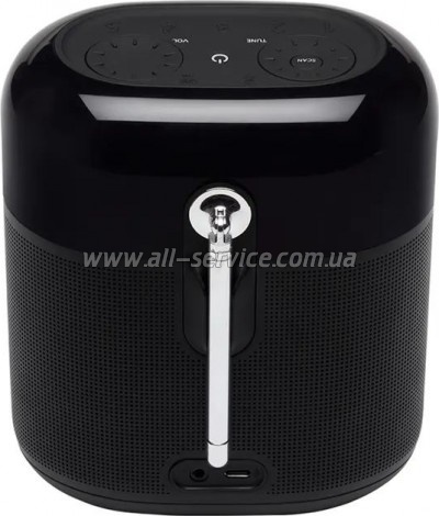   JBL Tuner XL FM Black (JBLTUNERXLBLKEUNA)