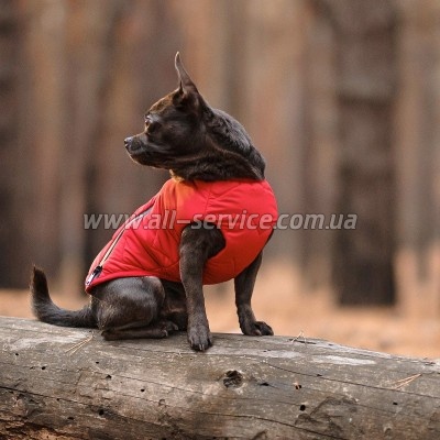    Pet Fashion "E.Vest" S  (4823082424450)