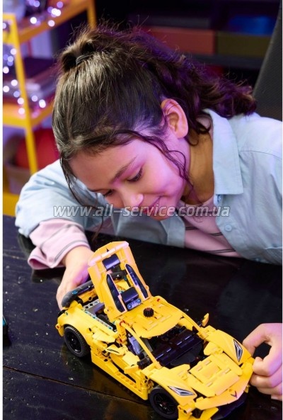 ����������� LEGO Technic Chevrolet Corvette Stingray (42205)