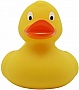    Funny Ducks   (L1607)