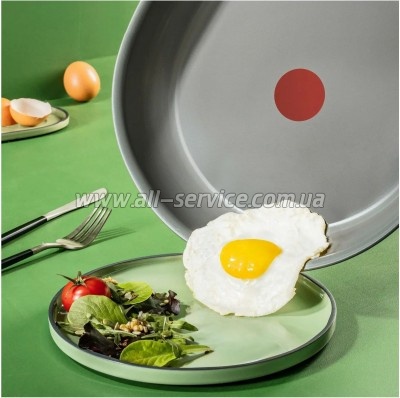��������� Tefal Renew 26�� (G0210502)