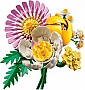 ����������� LEGO Botanicals ����������� ��������� ����� (10347)