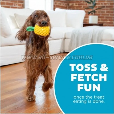    Outward Hound    (0700603714921)