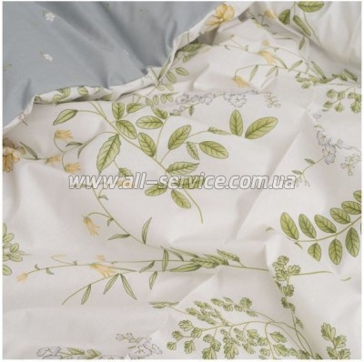 ���������� ����� Viluta 24326 ������� ���������� (24326_pl)