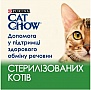     Purina Cat Chow Sterilised        85 (7613037025484)