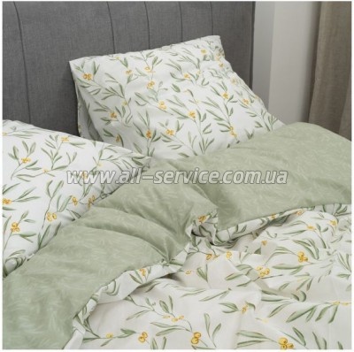   Viluta 24280   (24280_pl)