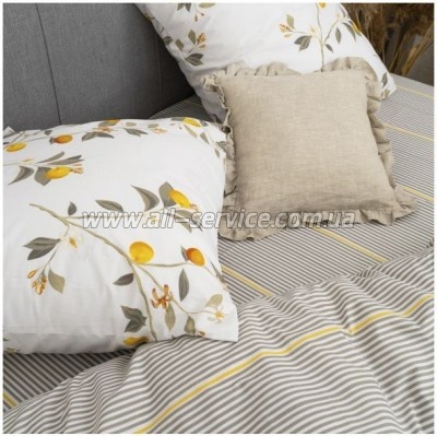 ���������� ����� Viluta 24317 ������� ���������� (24317_pl)