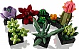  LEGO Botanicals  (10309-)